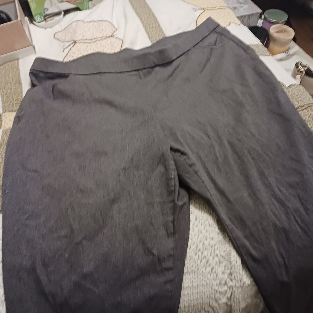 Alfred Dunner Grey Dress Slacks size 2x